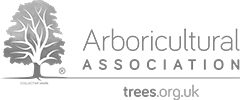 AA_logo